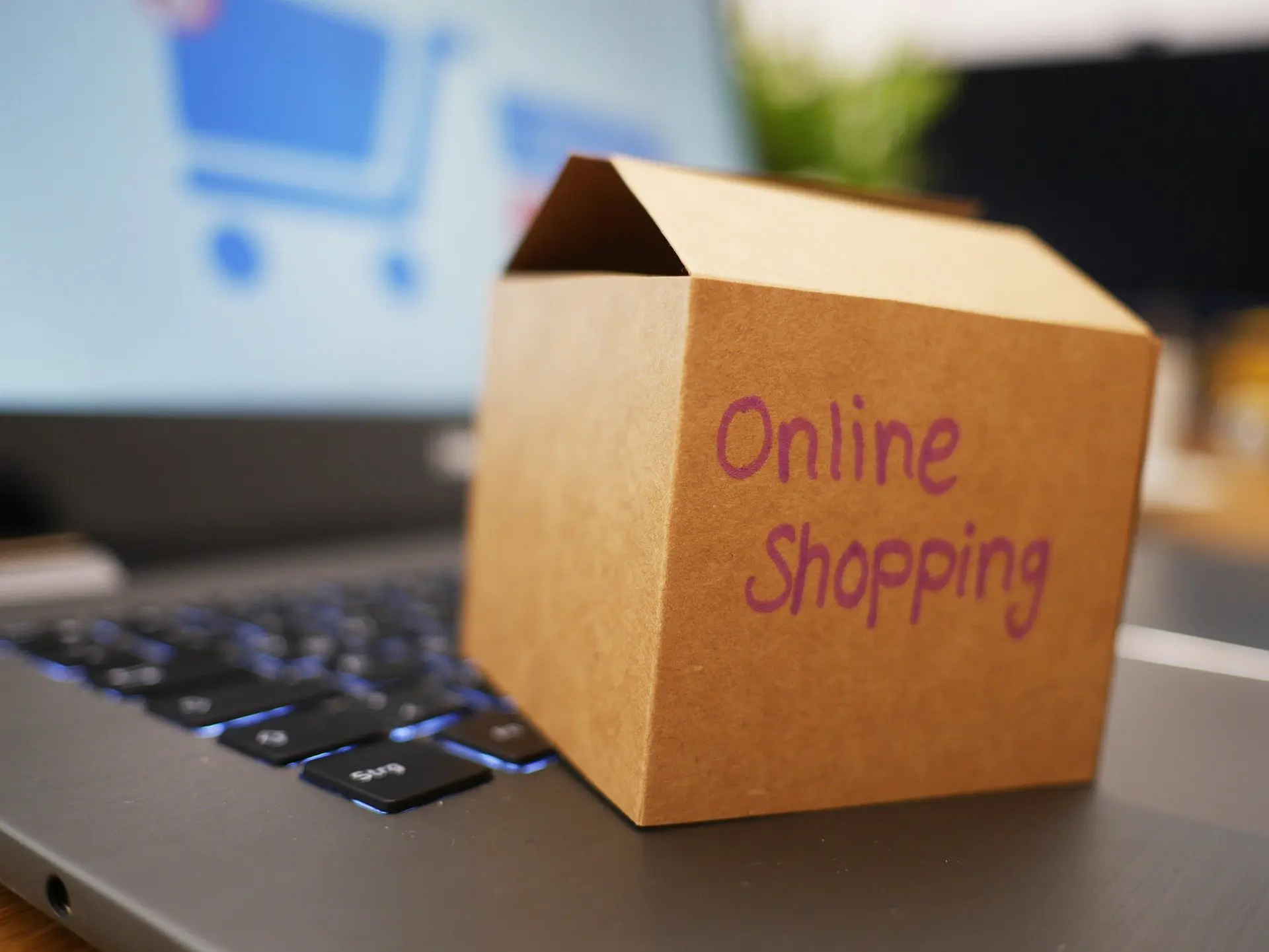 Online Shop app